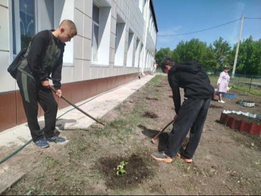 Трудовой отряд..